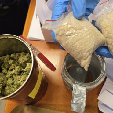 Policjanci odkryli plantację konopi. Zabezpieczono blisko 400 krzewów i 2 kg narkotyków