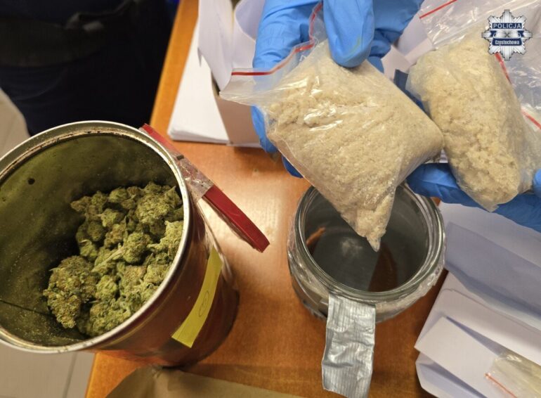 Policjanci odkryli plantację konopi. Zabezpieczono blisko 400 krzewów i 2 kg narkotyków