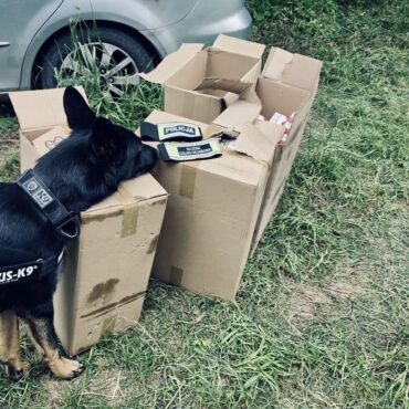 Ruda Śląska: przejęto ponad 1700 paczek nielegalnych papierosów. Trzy osoby zatrzymane