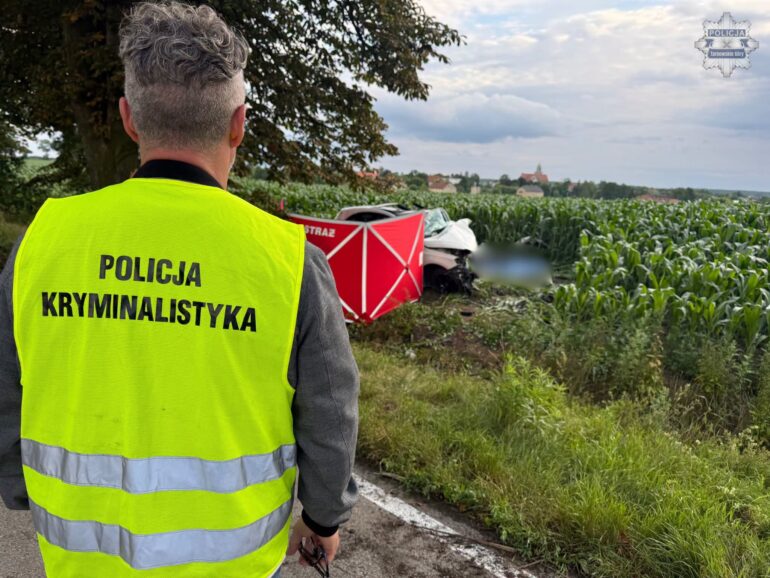 Tragiczny wypadek na Śląsku. Mercedes roztrzaskał się o drzewo, zginęło dwóch młodych mężczyzn . Fot. Policja Tarnowskie Góry