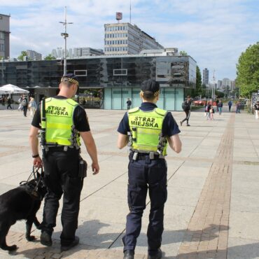 Katowice: Pies Vader patroluje Rynek. Czworonożny funkcjonariusz Straży Miejskiej na służbie. Fot. Straż Miejska Katowice
