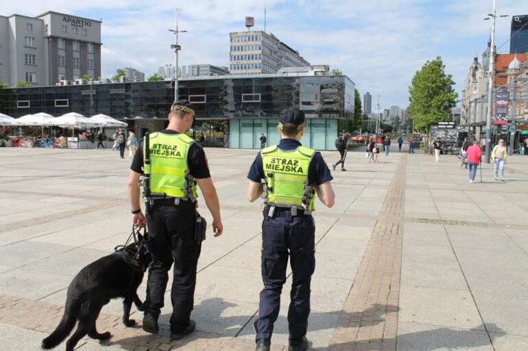 Katowice: Pies Vader patroluje Rynek. Czworonożny funkcjonariusz Straży Miejskiej na służbie. Fot. Straż Miejska Katowice
