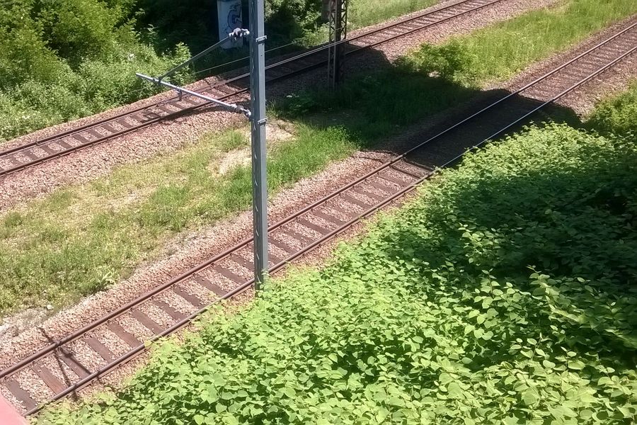 Tło