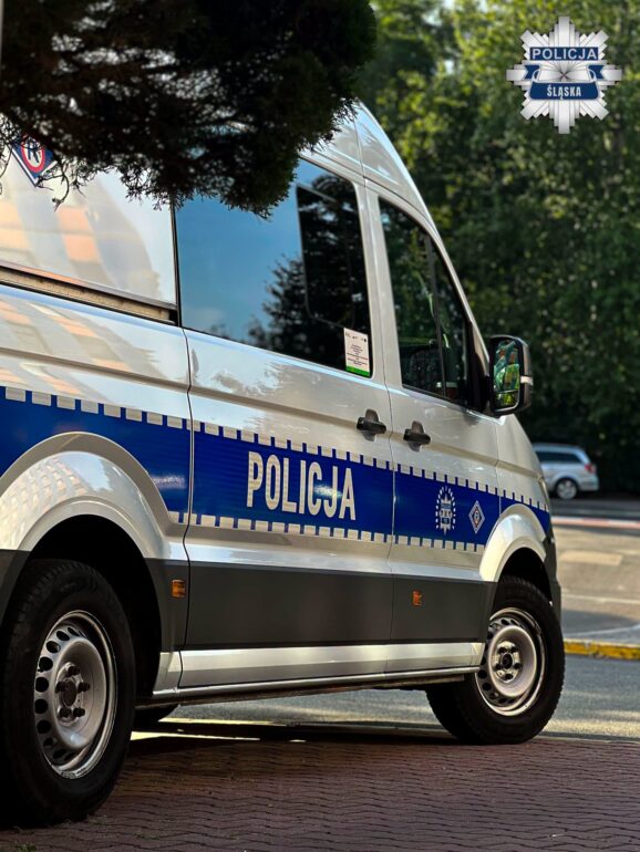 Ponad 650 zarzutów dla 41-latka z Sosnowca. Oszustwa na domki, broń i fałszywe pisma. Fot. policja