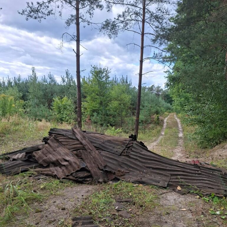 Ondulina wyrzucona do lasu między Imielinem a Mysłowicami. Leśnicy szukają sprawcy. Fot. Nadleśnictwo Katowice - PGL Lasy Państwowe
