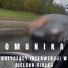 Nagi mężczyzna zaczepiał przechodniów