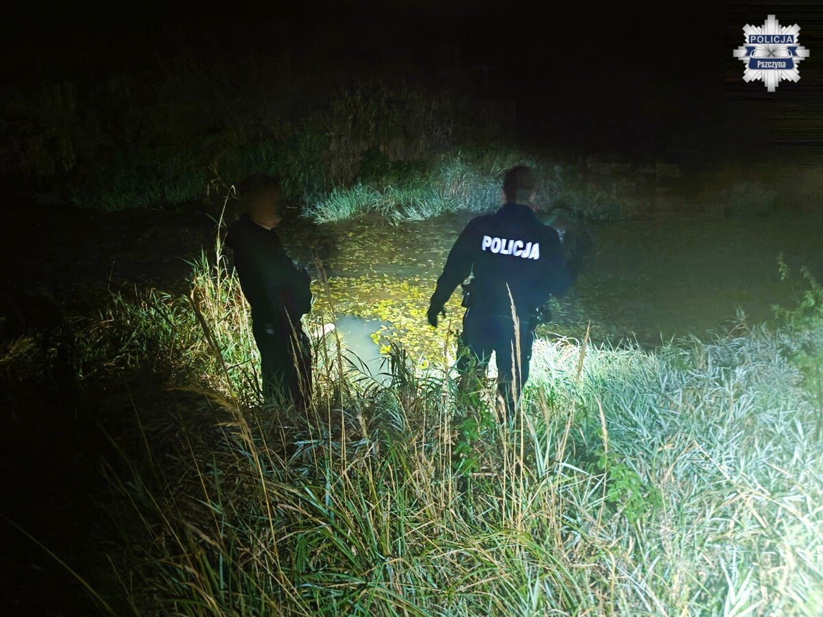 Tło