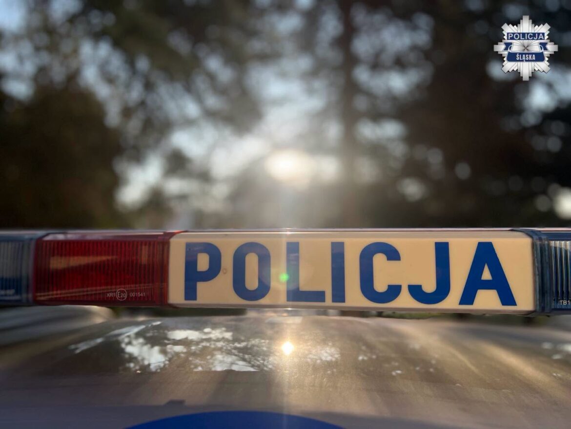 Jastrzębie-Zdrój: agresywny 28-latek wybił szybę w szpitalu i zaatakował policjantów
