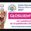 Budżet Obywatelski Bierunia – czyli jak wydać 1 mln zł