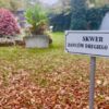 Nowe miejsce pamięci w Zabrzu! Studenci zaprojektują skwer dla dawców organów